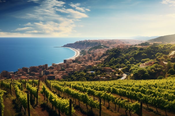 Scenic vineyards in Italy, with rows of grapevines stretching across the rolling hills under the clear blue sky.