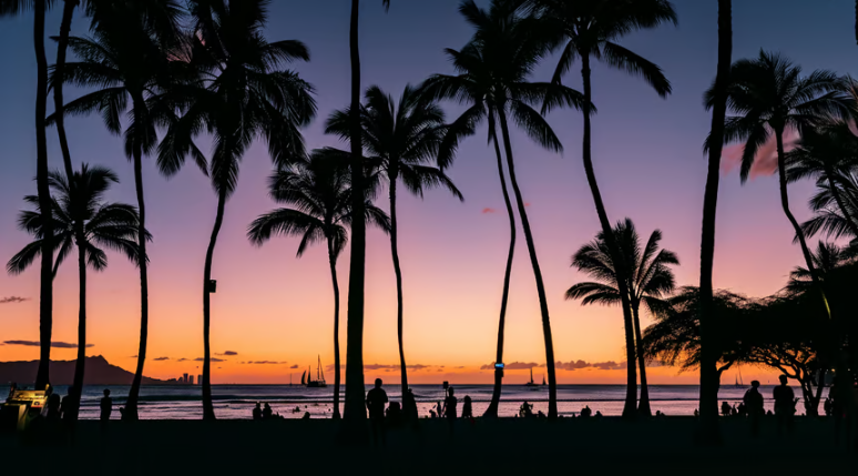 a sunset scene of palm trees and people walking on the beach