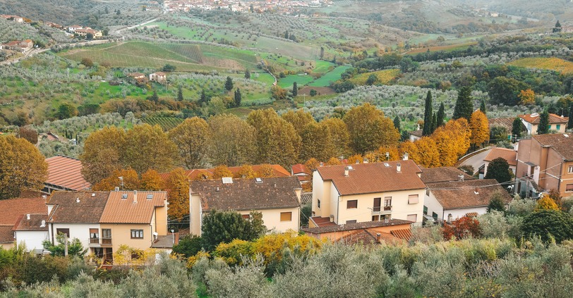 aerial view of green trees and brown and white house during daytime