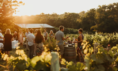 Golden Hour Wine Tasting at Wolffer Estate Vineyard.