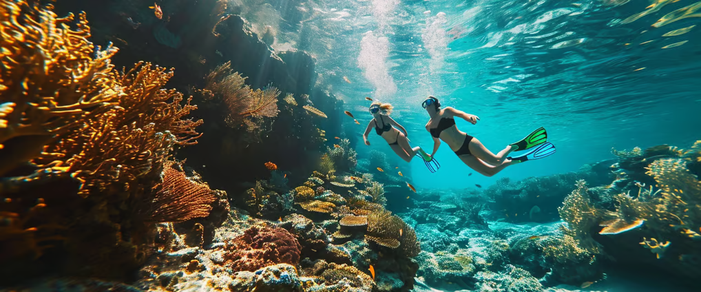 two people are swimming in the ocean near a coral reef two people are swimming in the ocean near a coral reef