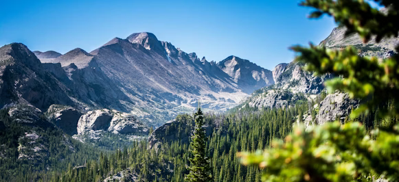 green trees and snow coered mountains green trees and snow coered mountains
