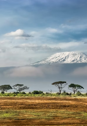 green leaf tree near mountain covered by snow at daytime green leaf tree near mountain covered by snow at daytime