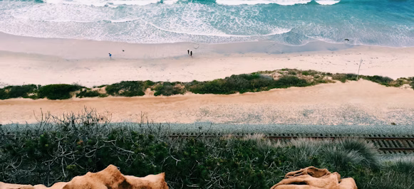 person walking on beach shore during daytime person walking on beach shore during daytime