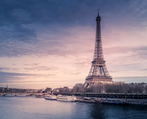 yellow and black fish in water