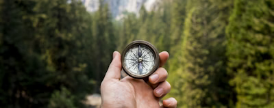 person holding compass facing towards green pine trees