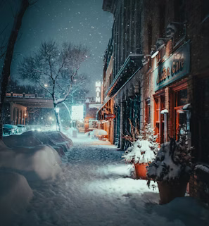 snow covered plant and road in front of cafe snow covered plant and road in front of cafe