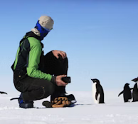 man near penguins man near penguins