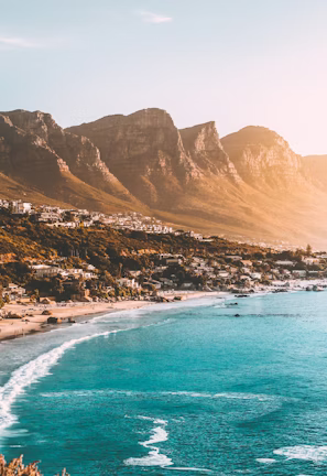 people on beach shore people on beach shore