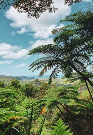 landscape photography of lake and mountain landscape photography of lake and mountain