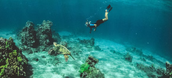 man in blue shorts diving on water man in blue shorts diving on water