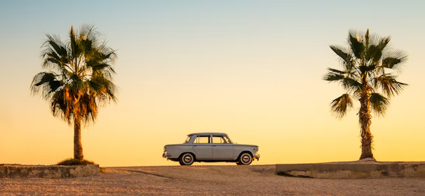 white and black car on brown sand during daytime white and black car on brown sand during daytime