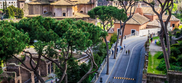 people walking on road near trees and building during daytime people walking on road near trees and building during daytime