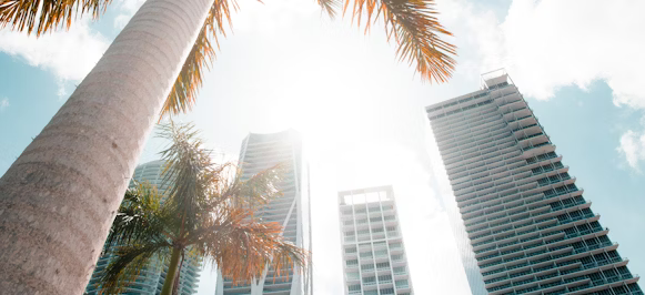 low angle photography of high rise building low angle photography of high rise building