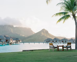white wooden chairs on green grass field near body of water during daytime white wooden chairs on green grass field near body of water during daytime