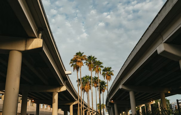 a couple of palm trees that are under a bridge a couple of palm trees that are under a bridge