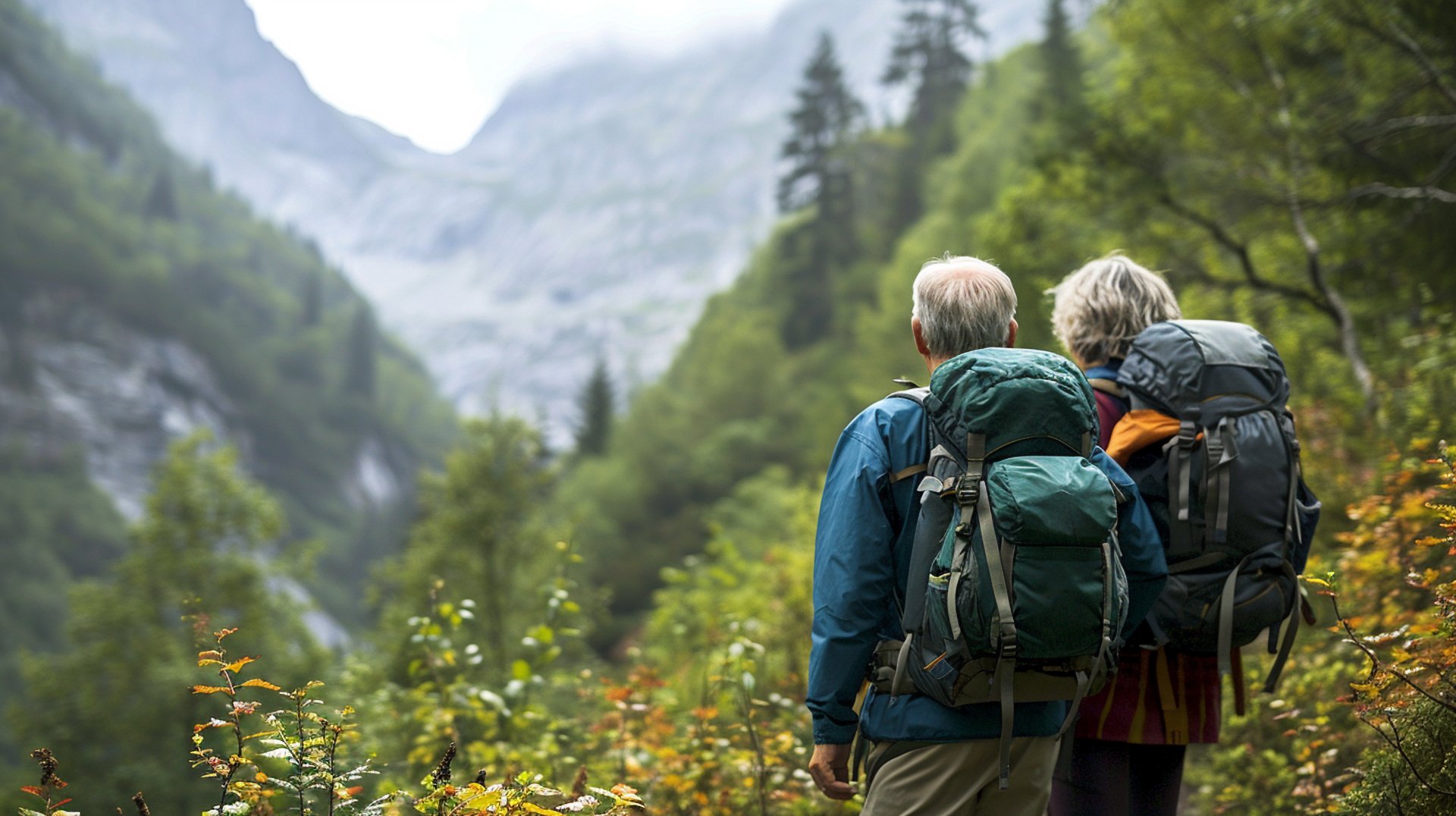 bg image 1 bg image 1