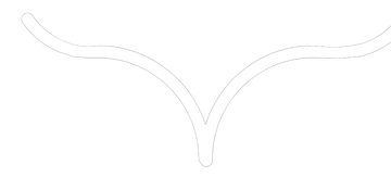 owl icon