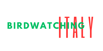 Main logo