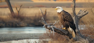 photo_of_lee_metcalf_national_wildlife_refuge