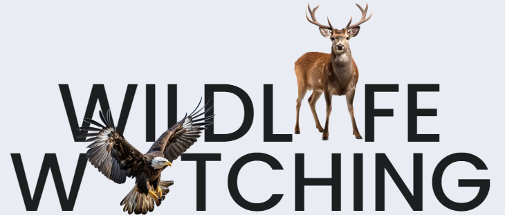 text with picture of eagle and deer