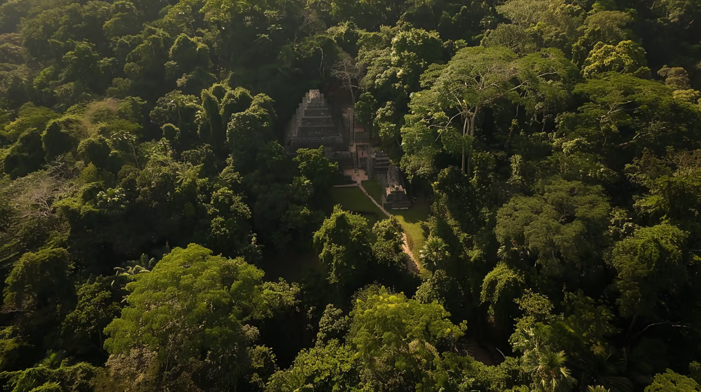 Lush jungle surrounding the mystical ruins of Palenque in Mexico Lush jungle surrounding the mystical ruins of Palenque in Mexico