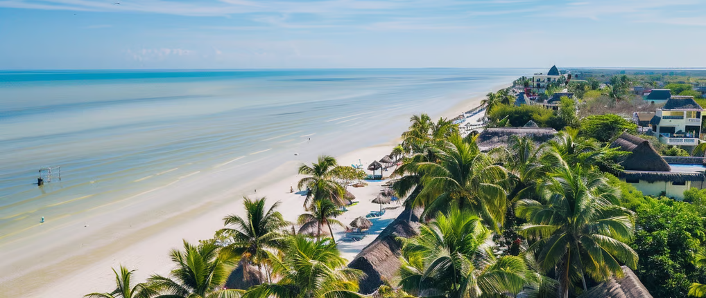 a beach with palm trees in mexico a beach with palm trees in mexico