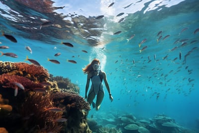 TOP MALDIVES DIVE SPOTS FOR BEGINNERS TOP MALDIVES DIVE SPOTS FOR BEGINNERS