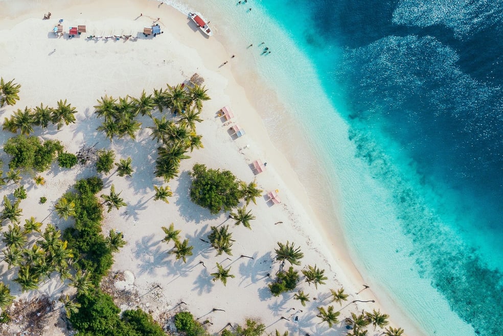 Aerial view of a tropical beach featuring lush palm trees and clear blue waters under a bright sky.