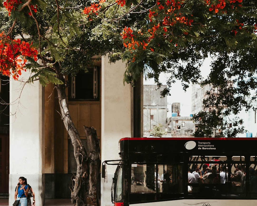 bus beside road