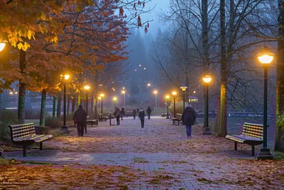 a group of people walking down Maple Ridge Park in Canada.