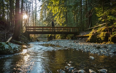 Kanaka Creek Riverfront in Maple Ridge, Canada in the morning.