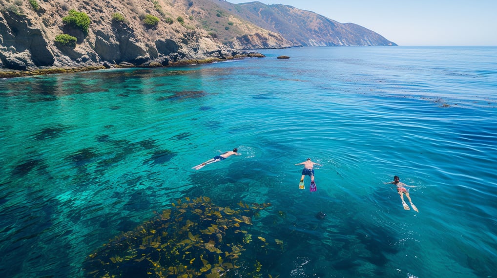 three people snorkeling around Catalina Island in Dominican Republic three people snorkeling around Catalina Island in Dominican Republic
