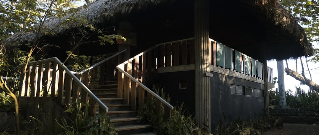 a house with a thatched roof and stairs a house with a thatched roof and stairs