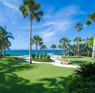 A large lawn with a pool and palm trees at a resort in puerto plata, dominican republic A large lawn with a pool and palm trees at a resort in puerto plata, dominican republic