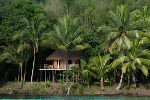 A hut with a thatched roof surrounded with palm trees in koh kong, cambodia A hut with a thatched roof surrounded with palm trees in koh kong, cambodia