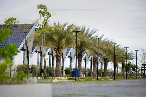 A row of palm trees in front of white houses in koh kong, cambodia A row of palm trees in front of white houses in koh kong, cambodia