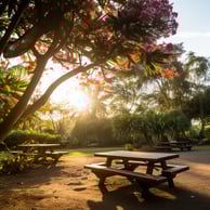 Picnic Area for guests at a Tortuguero hotel in Costa Rica. Picnic Area for guests at a Tortuguero hotel in Costa Rica.