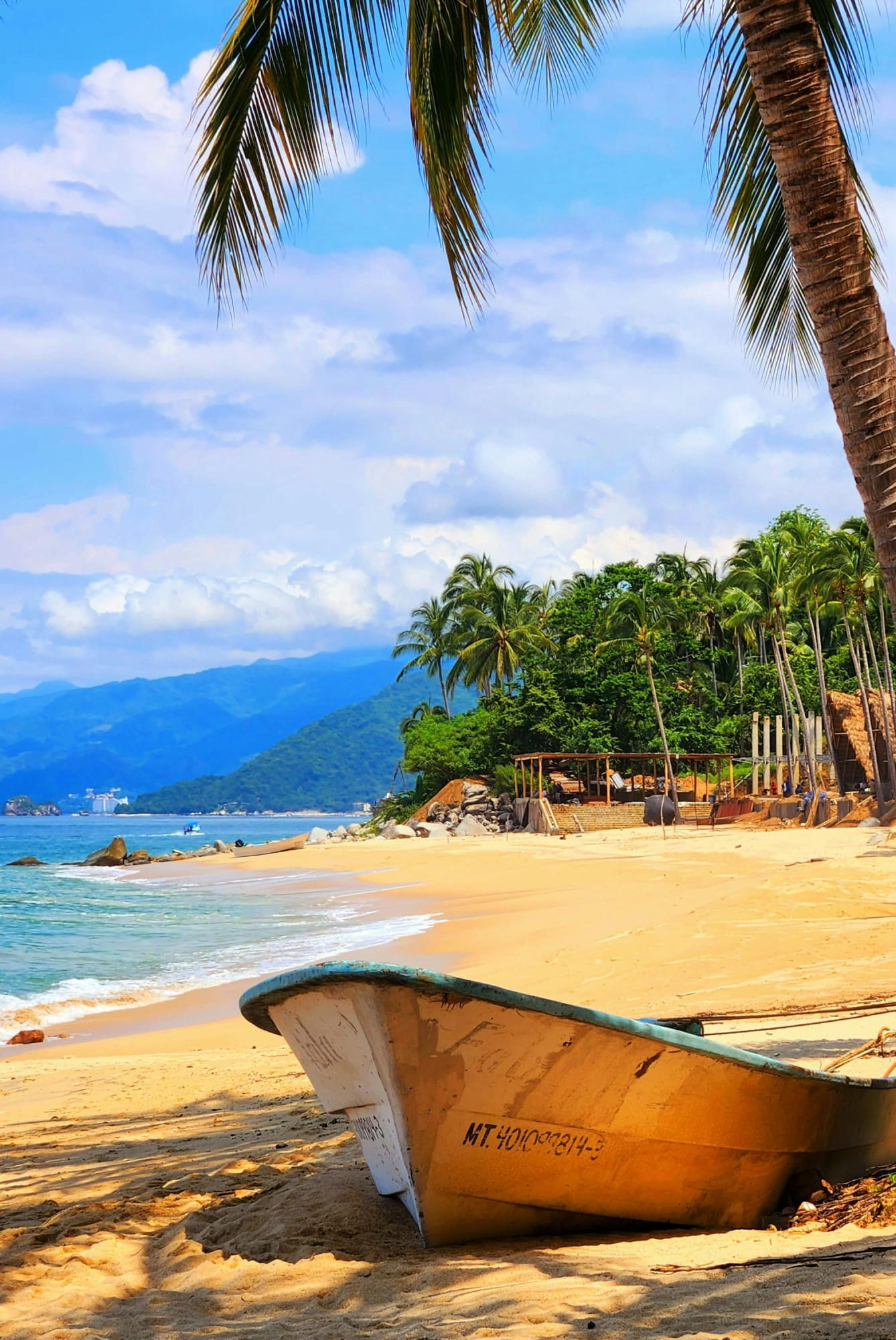 A boat rests on the beach surrounded by palm trees under a clear blue sky