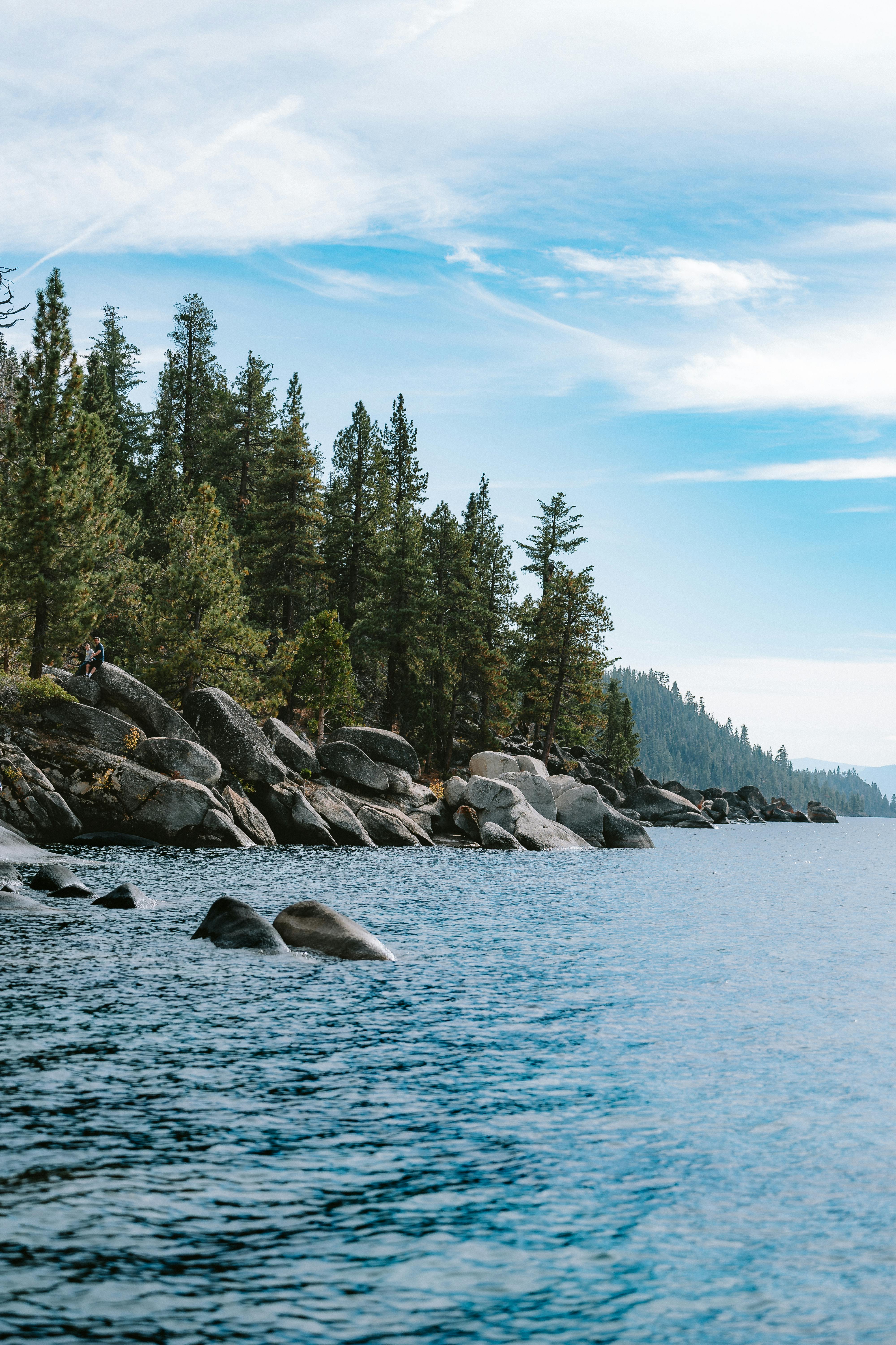 pexels-line-knipst-574109081-18833024