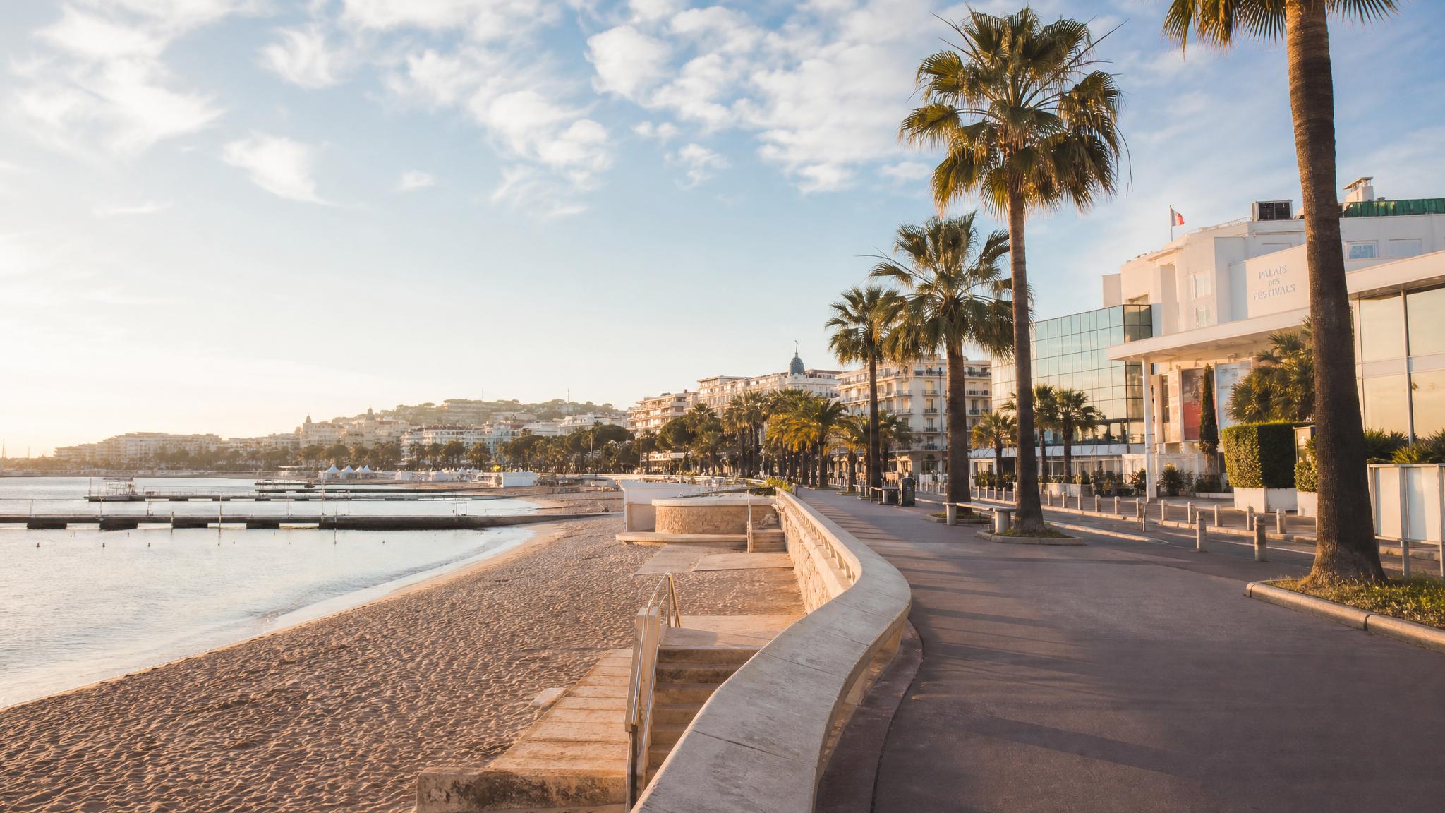 Palm-lined Cannes promenade during a quiet morning, highlighting where to stay in Cannes beyond major events.