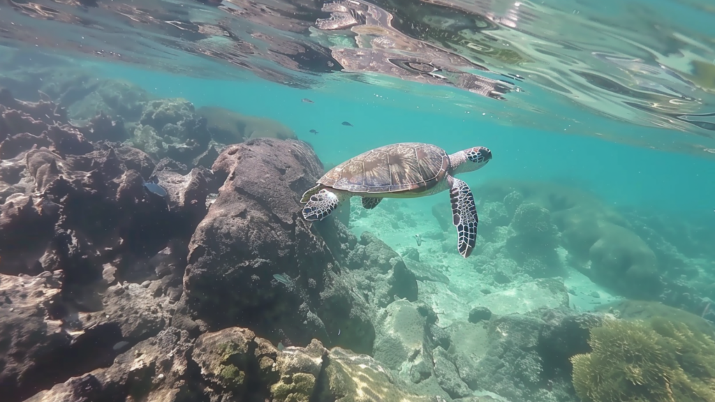 Planning A Trip To Hawaii: Your Ultimate Island Guide