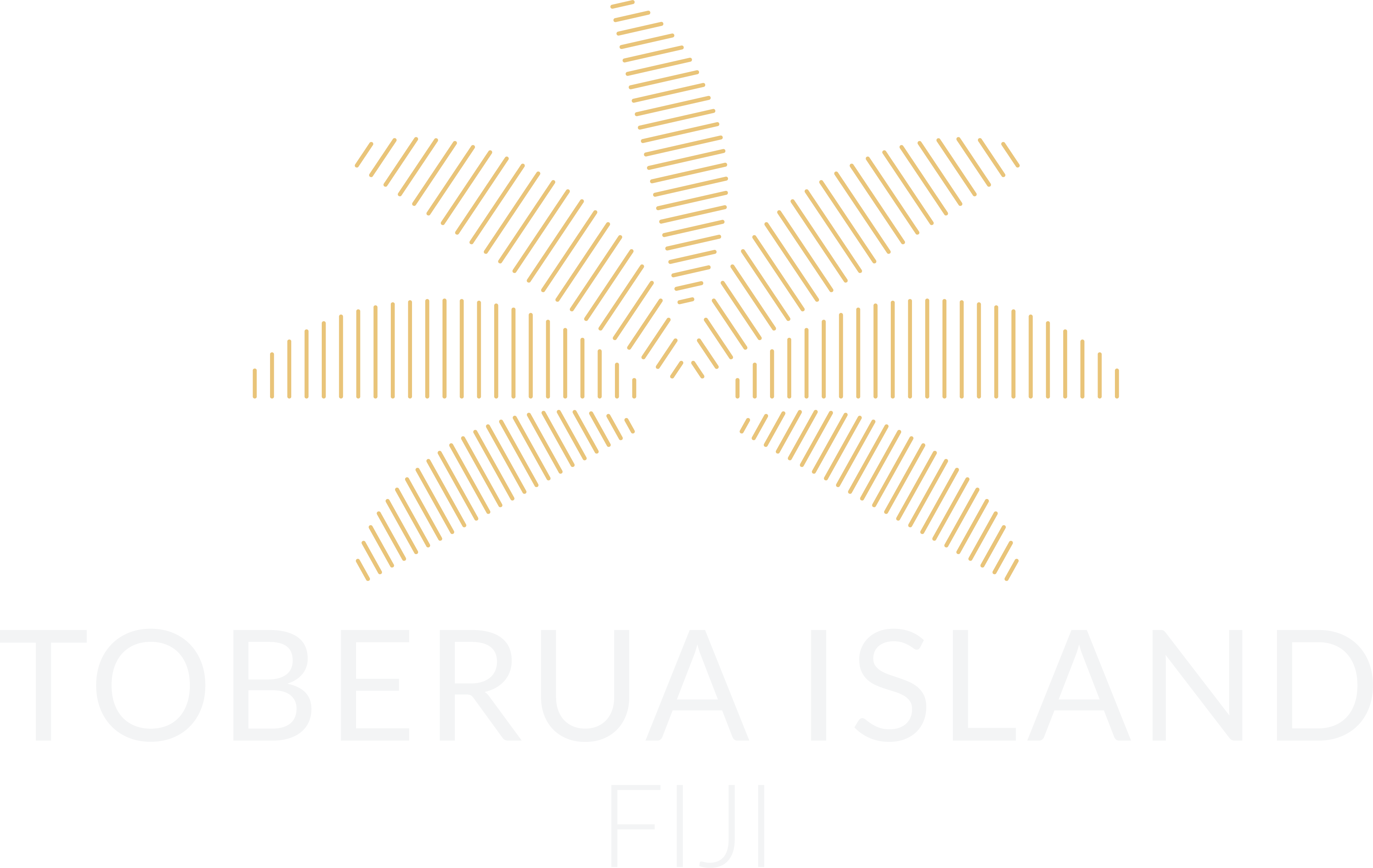 site footer logo