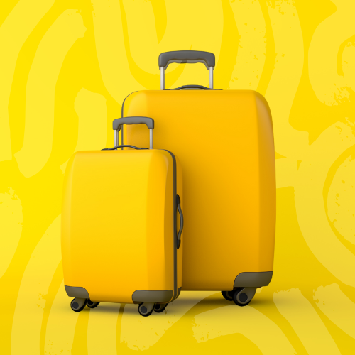 travelsome-twosome-luggage