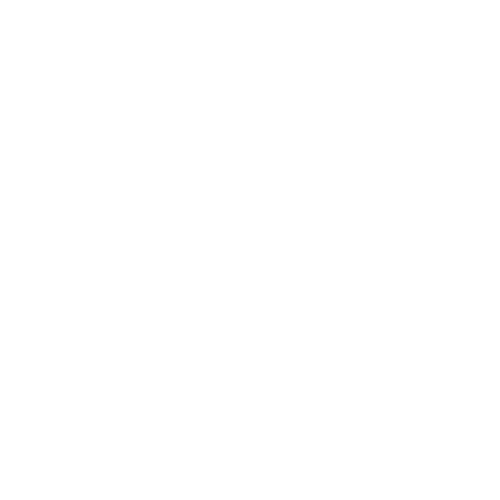 vacation-summer-rental-logo-2b